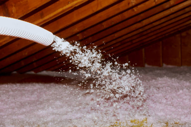 Best Cellulose Insulation in Hazel Green, AL