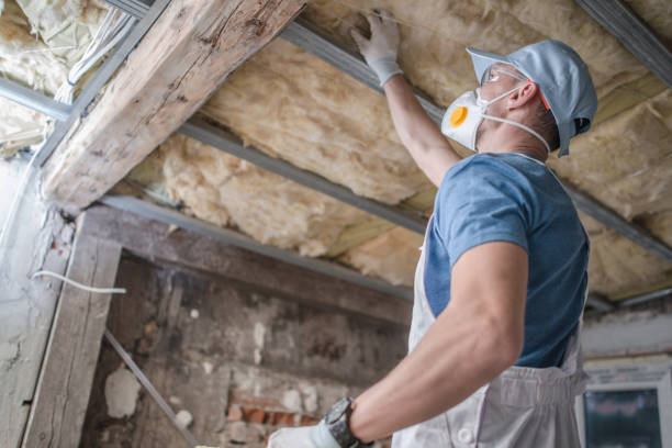 Best Specialized Insulation Services in Hazel Green, AL
